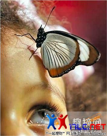 quzhai_pic_865827001188881599.jpg