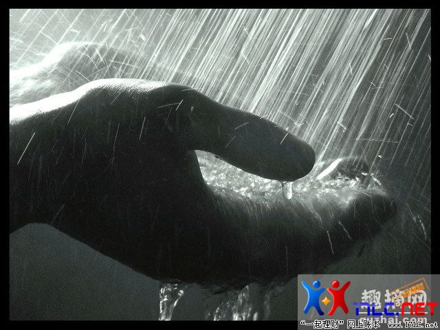 quzhai_pic_913875001189349887.jpg