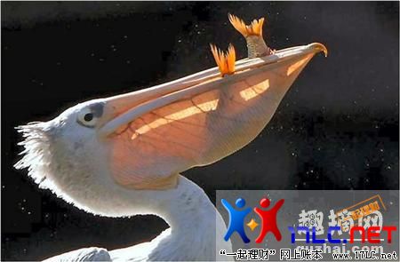 quzhai_pic_936202001188881674.jpg