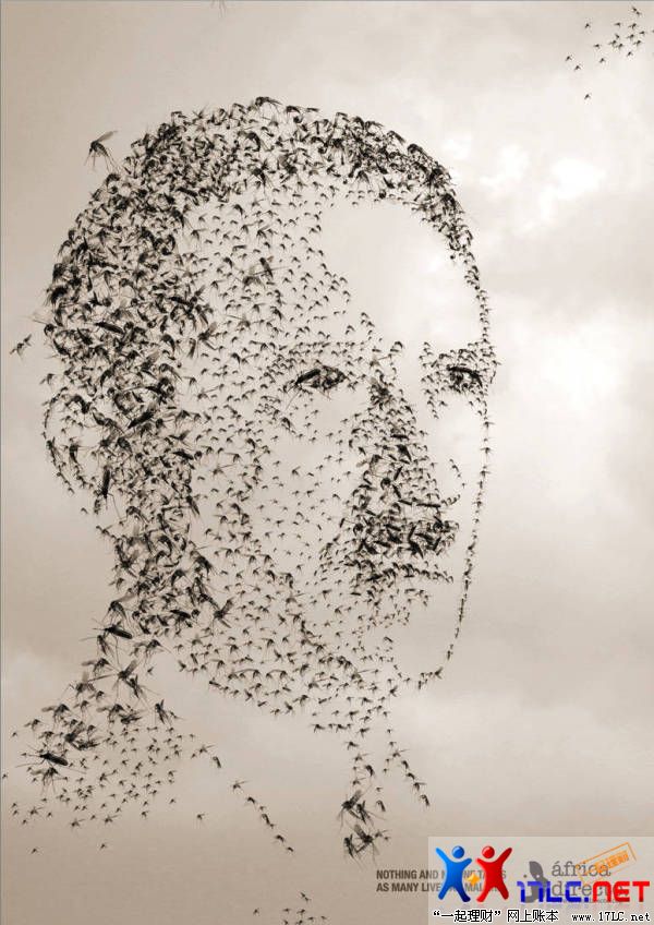 ʹIE,ֿͼƬ,ͼƬܵҳʾ