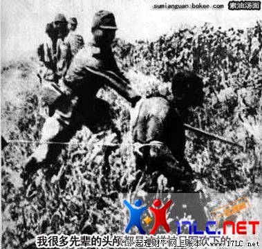 ͼƬԴ/q/UpFile/UpAttachment/upload/img3942_20090302144246_17.jpg