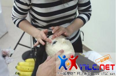 ͼƬԴ/q/UpFile/UpAttachment/upload/img5388_20090415095247_12.jpg