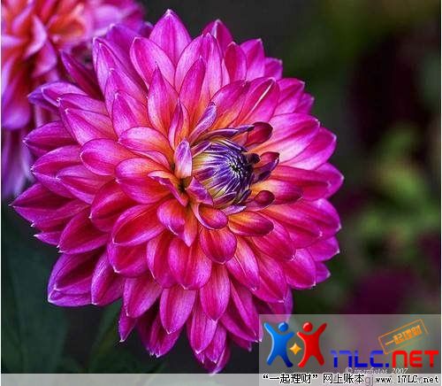 http://photo.xiaonei.com/getphoto.do?id=636848937&owner=242878440&pos=27