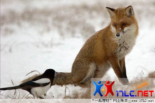 http://photo.xiaonei.com/getphoto.do?id=636809844&owner=242878440&pos=18