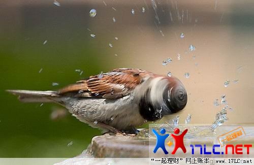 http://photo.xiaonei.com/getphoto.do?id=636797533&owner=242878440&pos=12