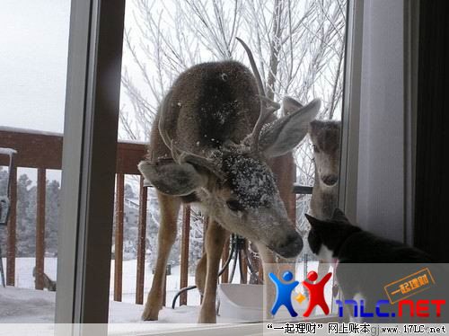 http://photo.xiaonei.com/getphoto.do?id=636763267&owner=242878440&pos=2