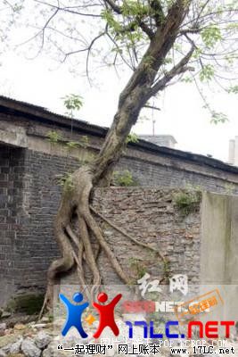  ּ¡мǽ30꣬ˣʲôᷢ